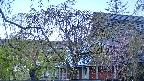 area2-20250501052105.jpg