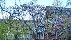 area2-20250501054106.jpg
