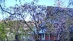 area2-20250501060105.jpg