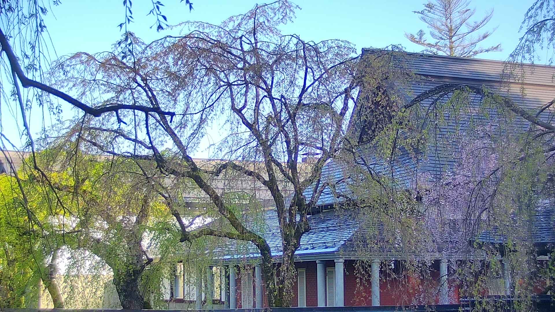 area2-20250501061107.jpg