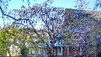 area2-20250501061107.jpg