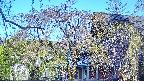 area2-20250501063107.jpg