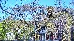 area2-20250501064107.jpg
