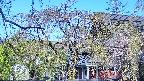 area2-20250501065107.jpg