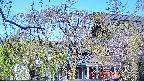 area2-20250501070106.jpg