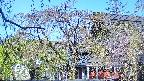 area2-20250501071106.jpg