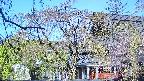 area2-20250501073106.jpg