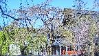 area2-20250501074107.jpg