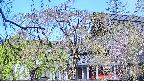 area2-20250501081106.jpg