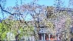 area2-20250501082106.jpg
