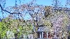 area2-20250501084107.jpg