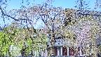area2-20250501091107.jpg