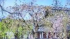 area2-20250501092106.jpg