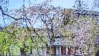 area2-20250501095105.jpg