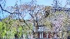 area2-20250501101106.jpg