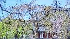 area2-20250501103104.jpg