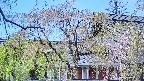 area2-20250501105106.jpg