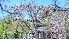 area2-20250501112106.jpg