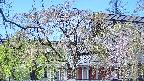 area2-20250501113105.jpg