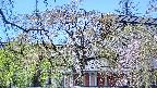 area2-20250501120105.jpg