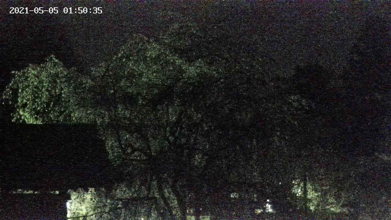 area3-20210505015037.jpg