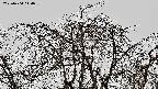 area3-20220404114036.jpg