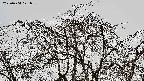 area3-20220404121037.jpg