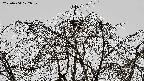 area3-20220404122040.jpg