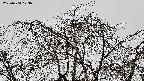 area3-20220404123037.jpg