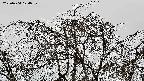 area3-20220404124039.jpg