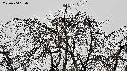 area3-20220404130037.jpg