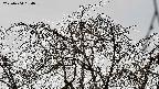 area3-20220404134036.jpg