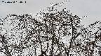 area3-20220404164036.jpg