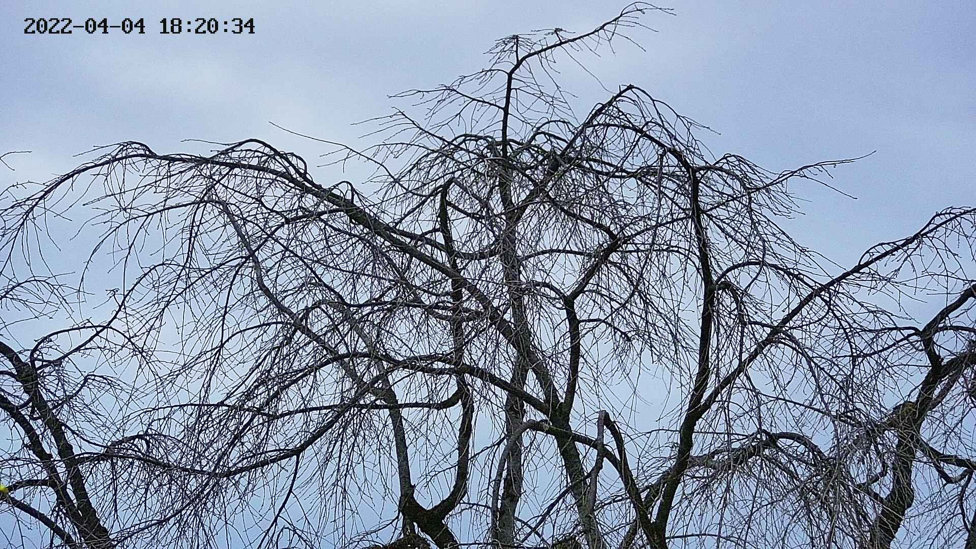 area3-20220404182036.jpg