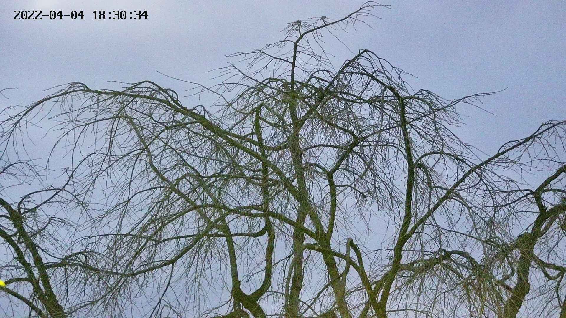 area3-20220404183035.jpg