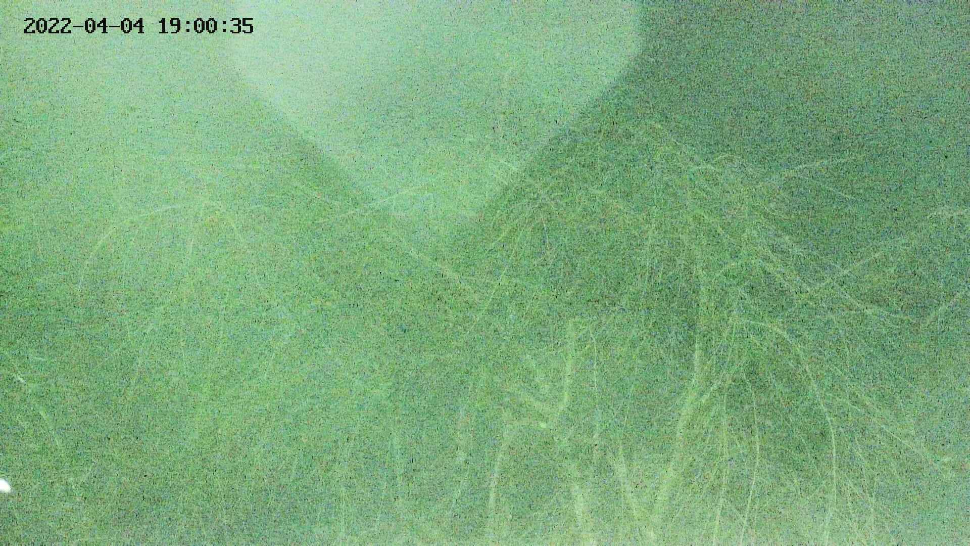 area3-20220404190037.jpg