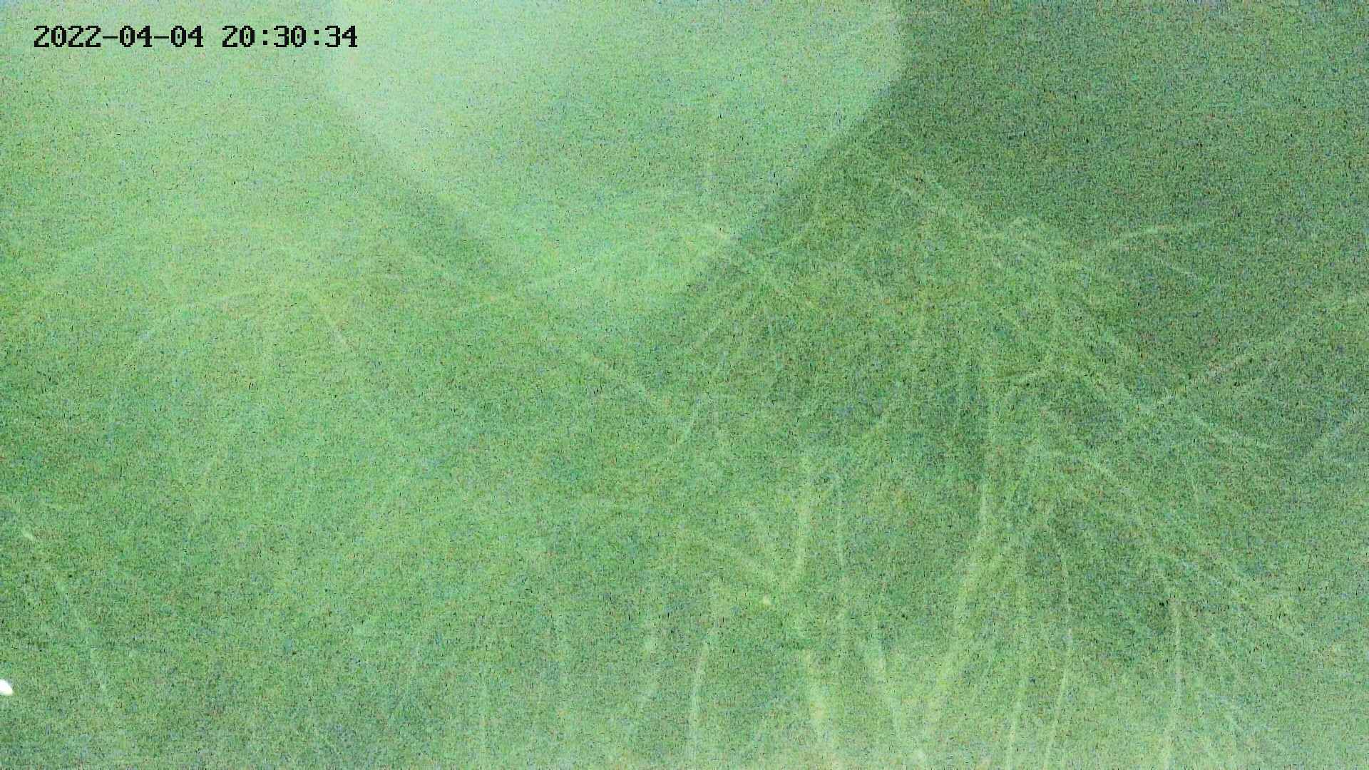 area3-20220404203036.jpg