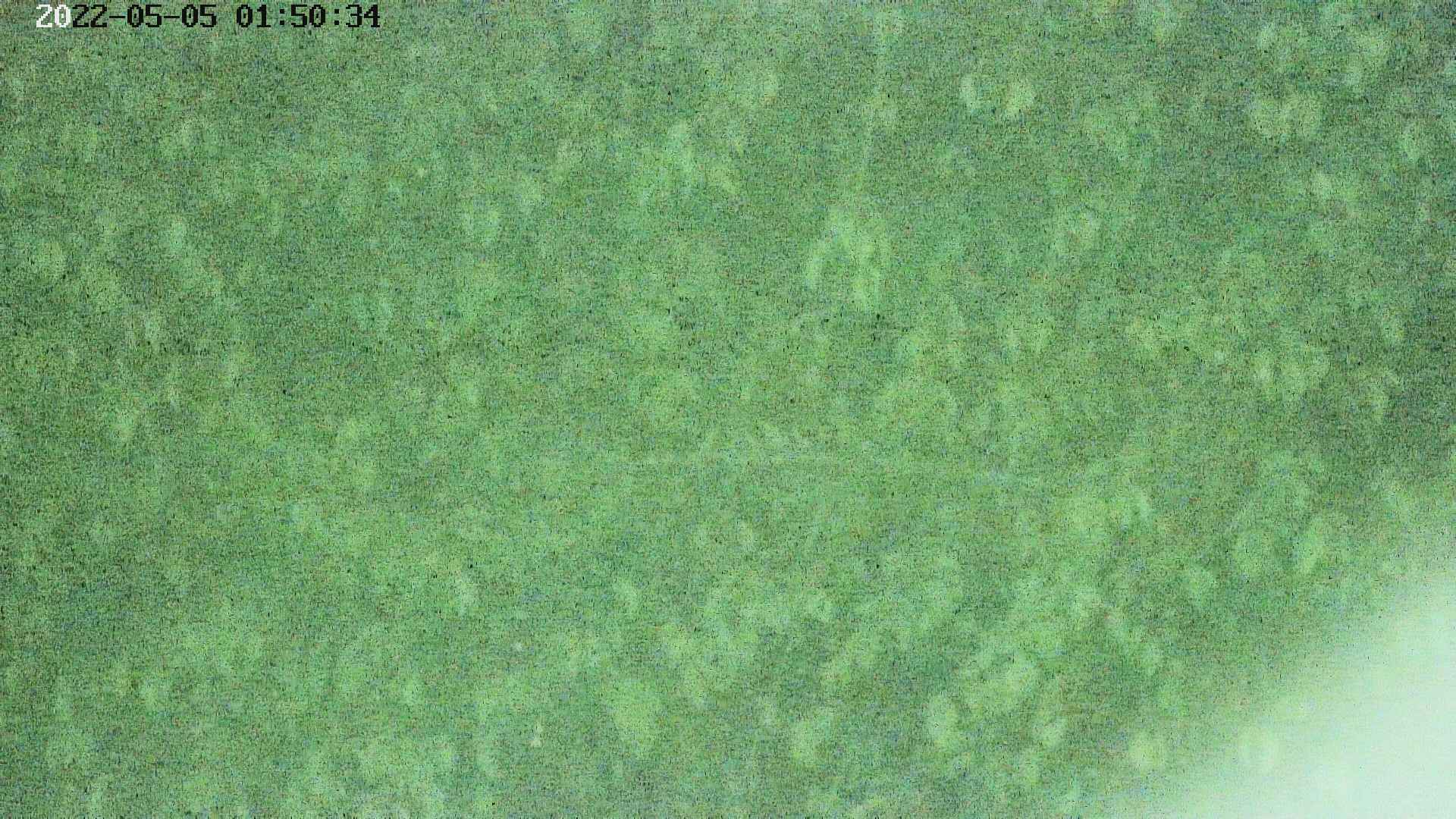 area3-20220505015036.jpg