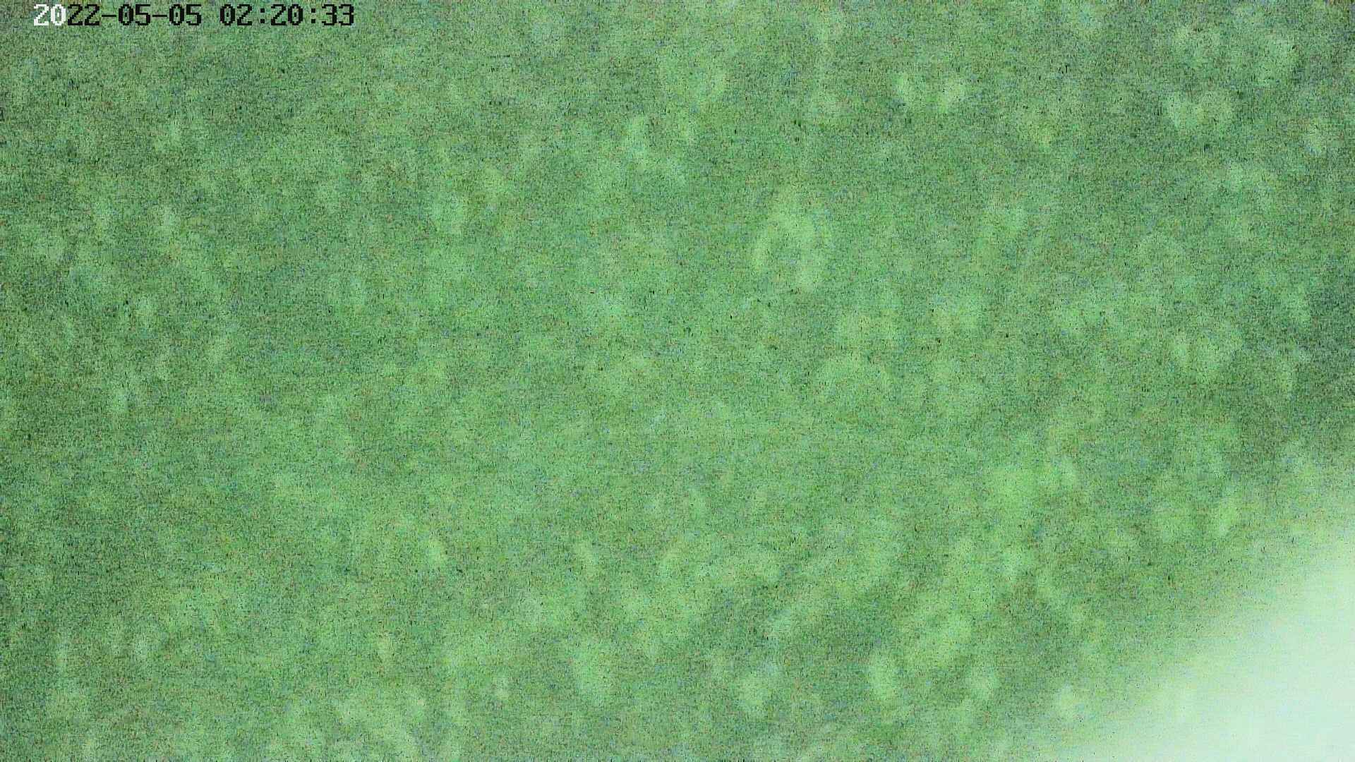 area3-20220505022036.jpg