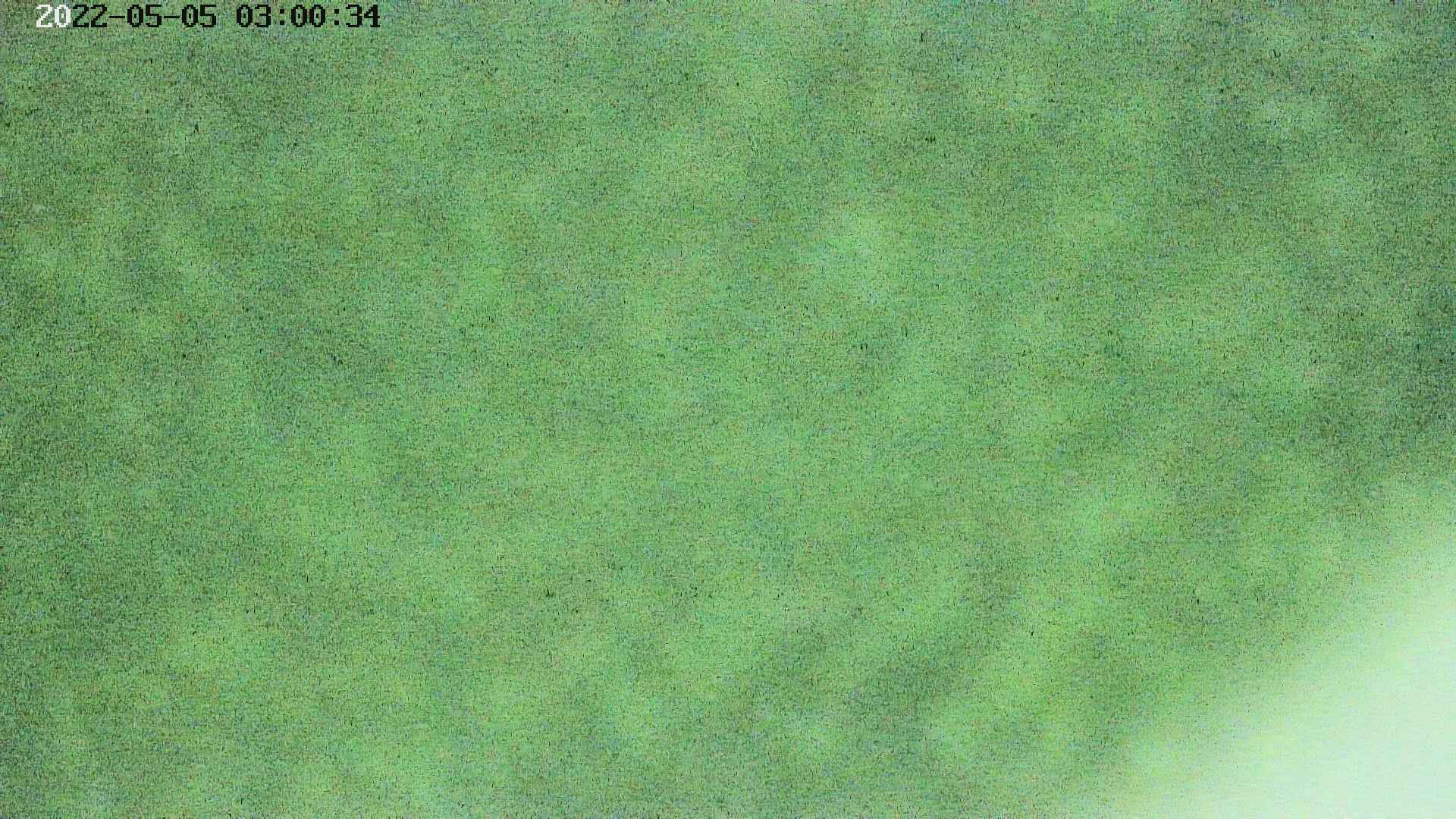 area3-20220505030036.jpg