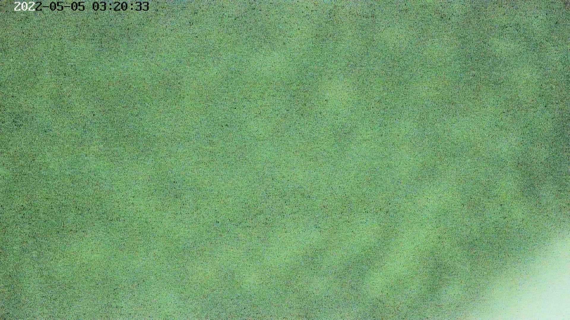 area3-20220505032035.jpg