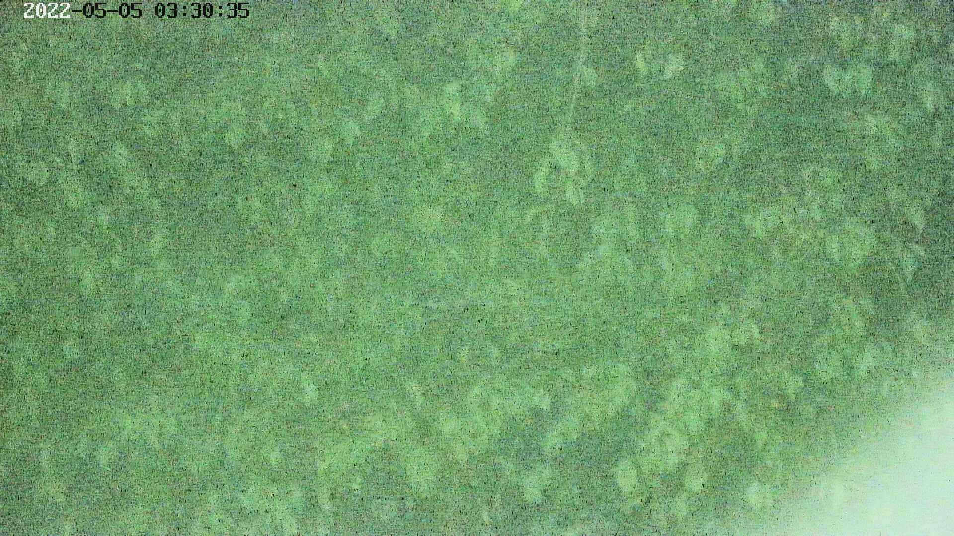 area3-20220505033037.jpg