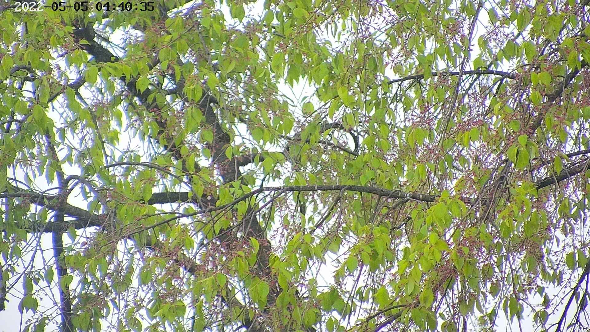 area3-20220505044038.jpg
