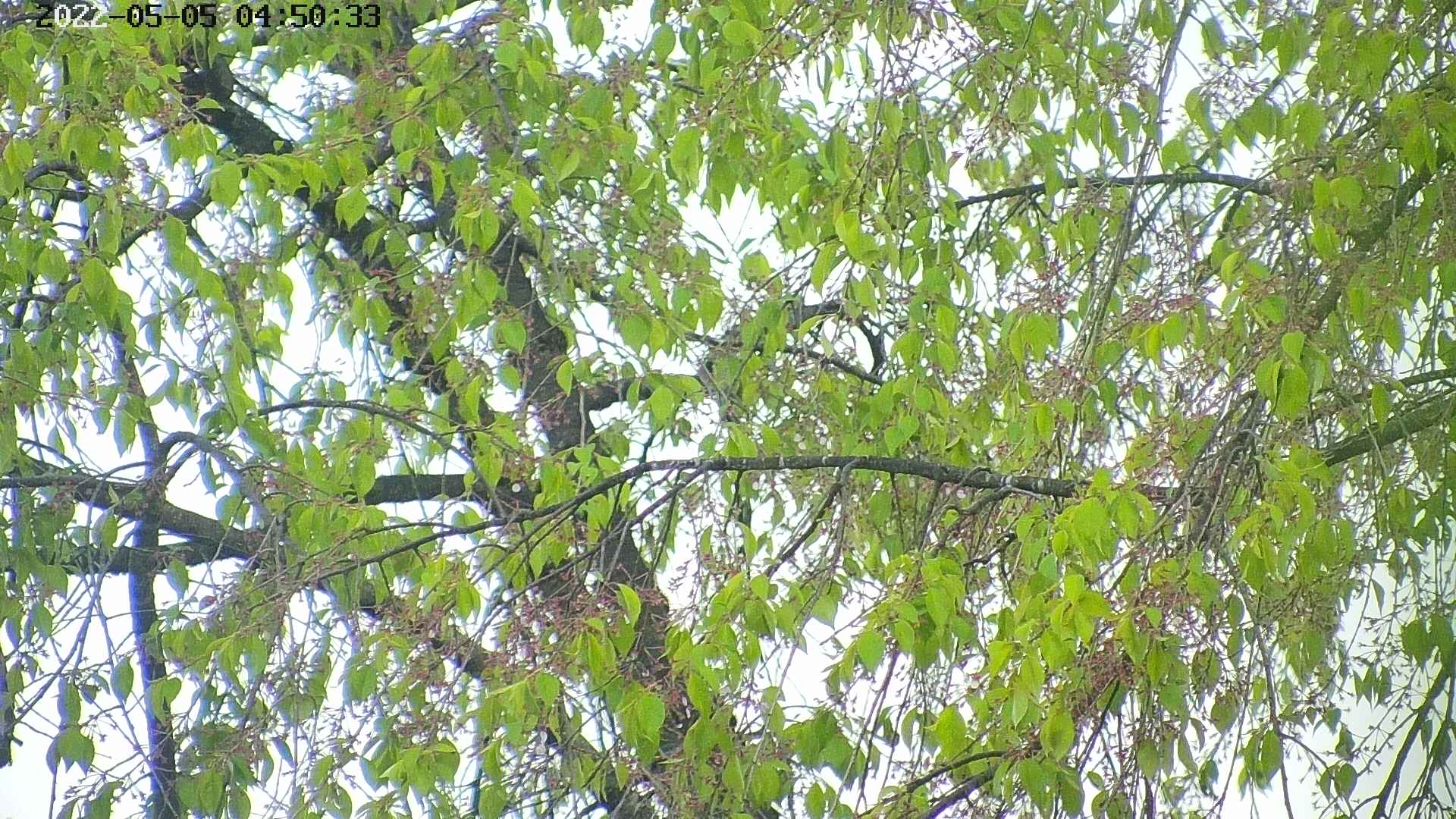 area3-20220505045036.jpg