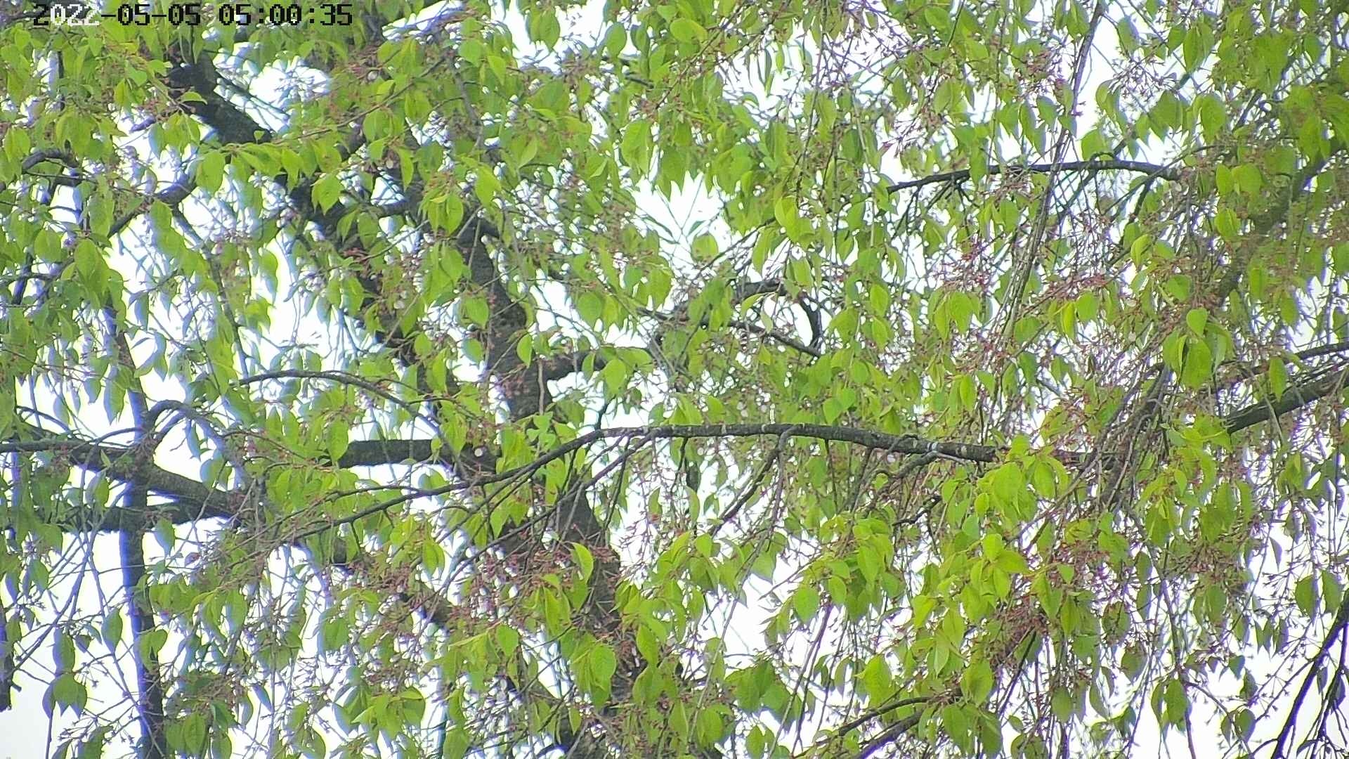 area3-20220505050038.jpg
