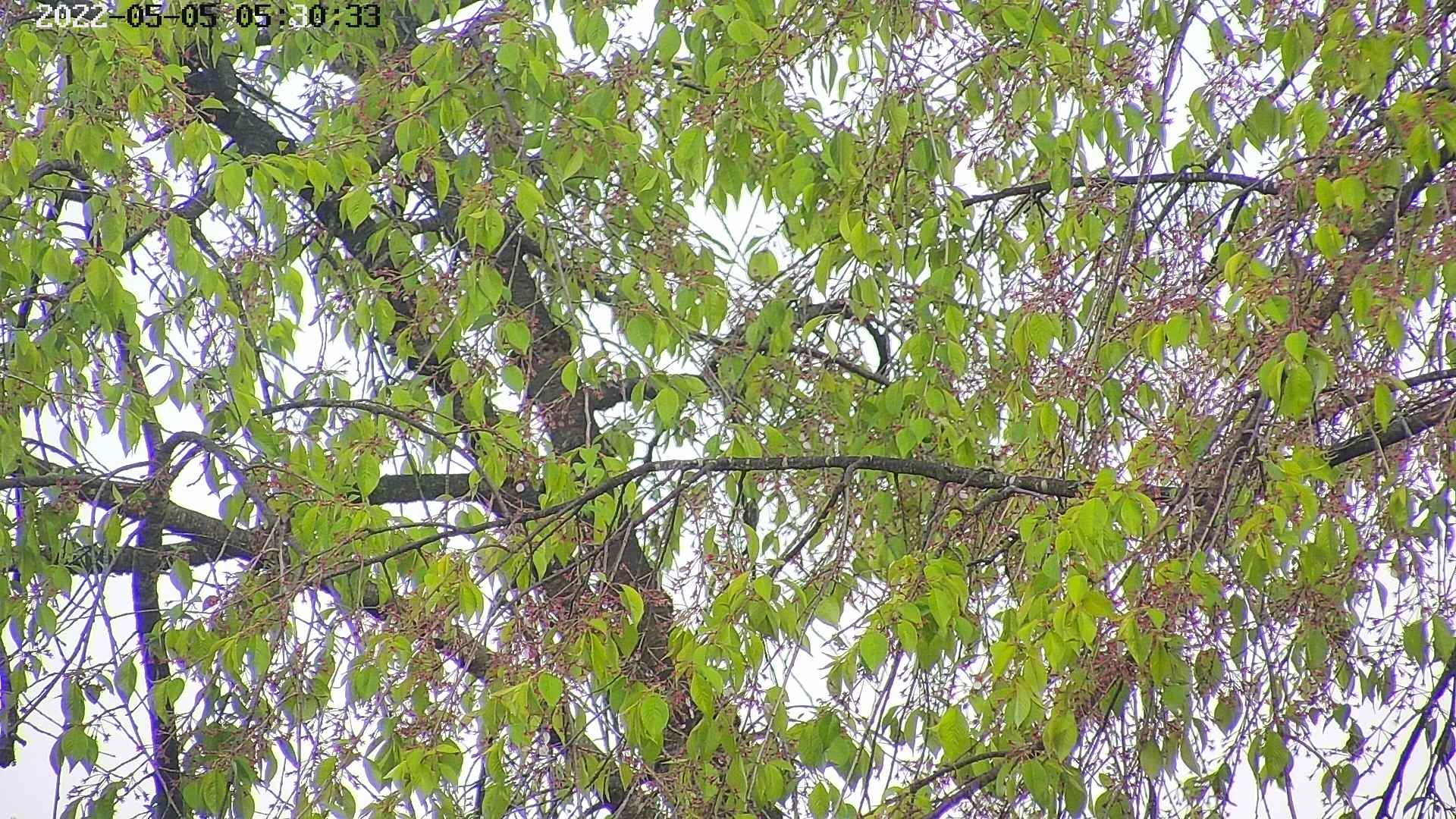 area3-20220505053036.jpg