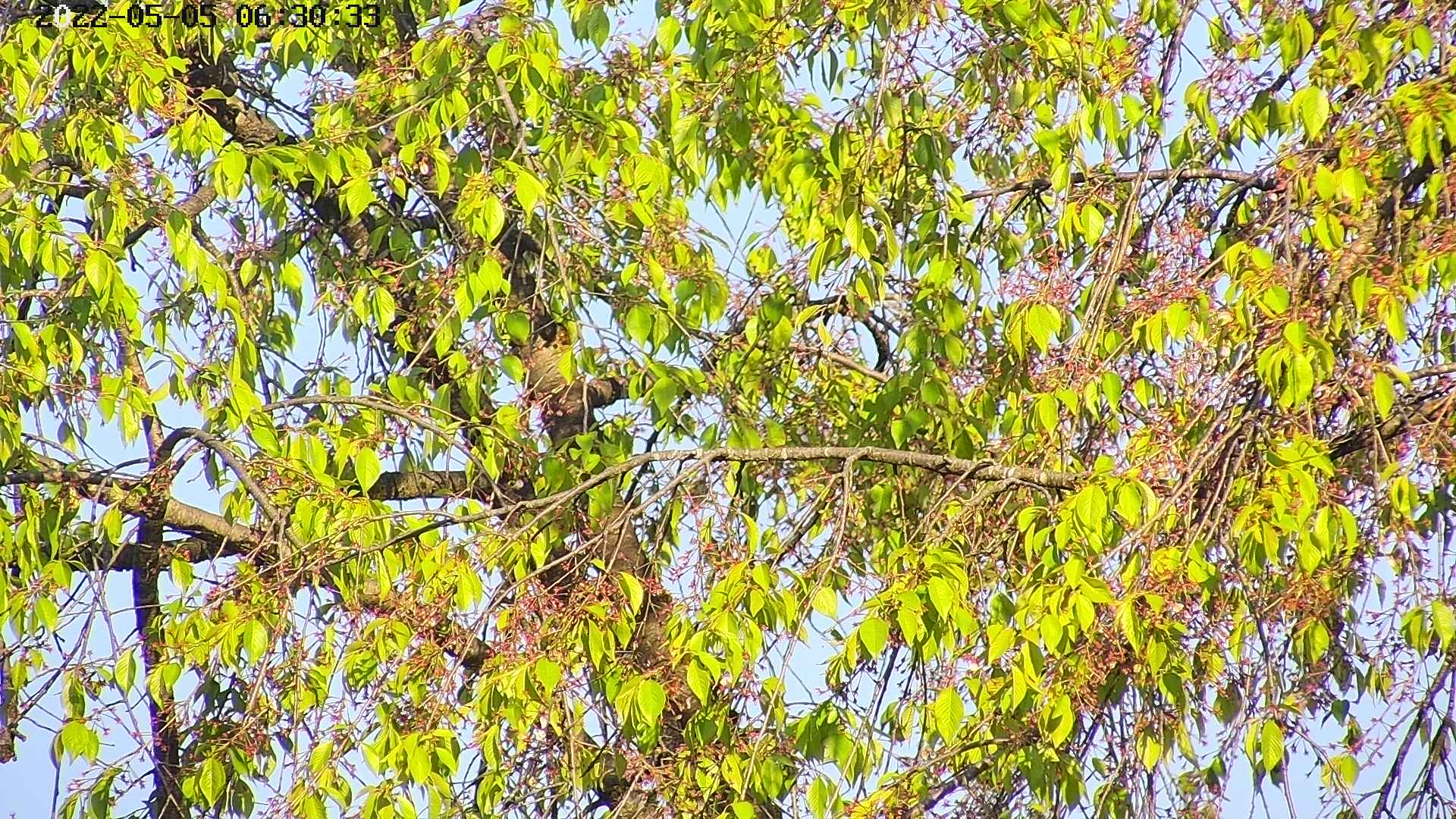 area3-20220505063036.jpg