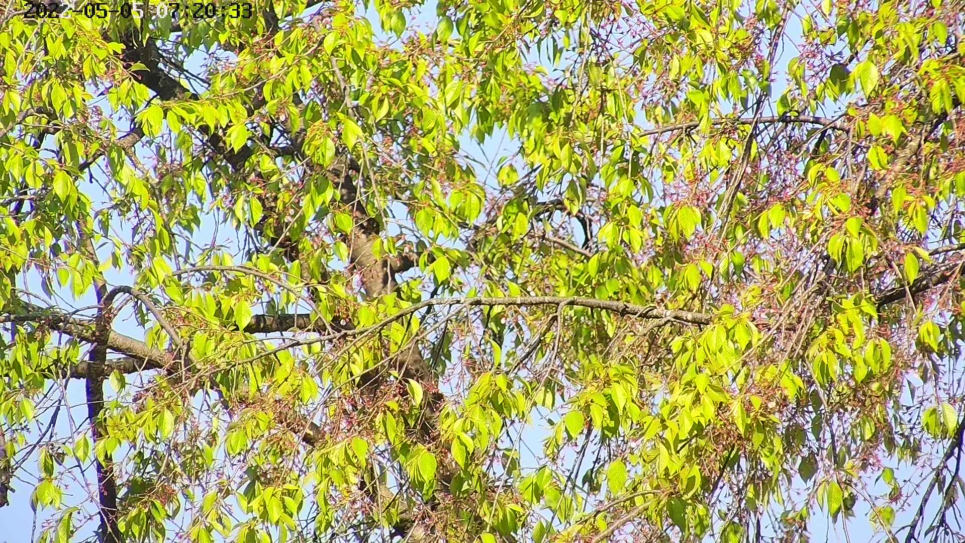 area3-20220505072036.jpg