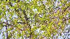 area3-20220505131037.jpg