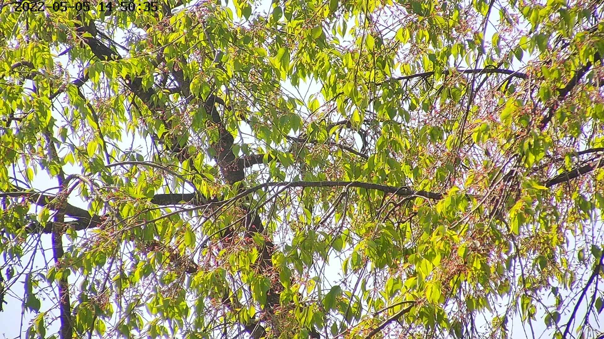 area3-20220505145037.jpg